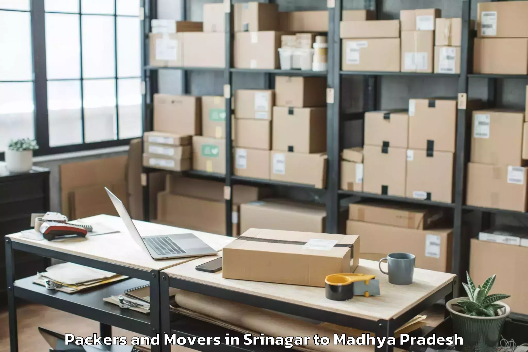 Leading Srinagar to Bijawar Packers And Movers Provider